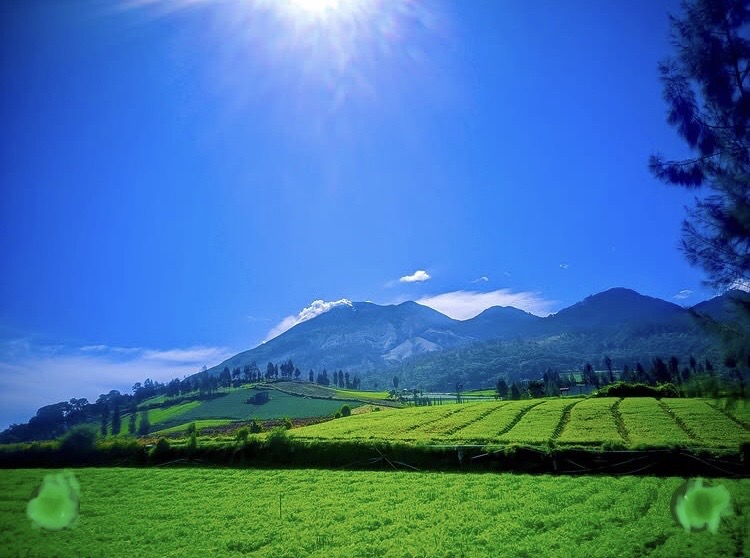 Daya Tarik Bukit Brakseng yang Dijuluki Swiss-nya Kota Batu, Bak Negeri di Atas Awan