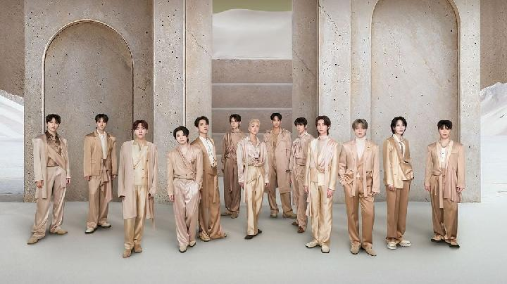 Pledis Minta Maaf Usai Kembang Api Jatuh di Konser SEVENTEEN, Dua Fans Terluka