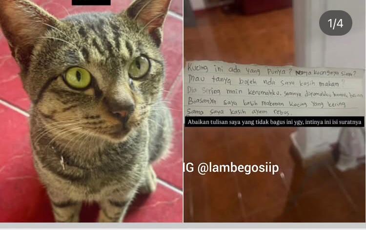 Kucing Orang Lain Sering Masuk Rumahnya, Cewek Ini Tulis Surat untuk Pemiliknya dan Dibalas